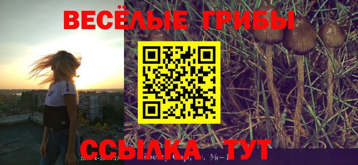 Галлюциногенные грибы Magic Shrooms  Псилоцибиновые грибы Magic Shrooms  Ипатово  Вход с VPN 